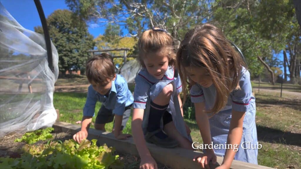 Co-Curricular Activities